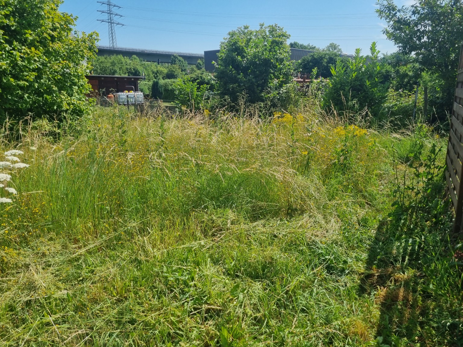 Garten und Außenpflege