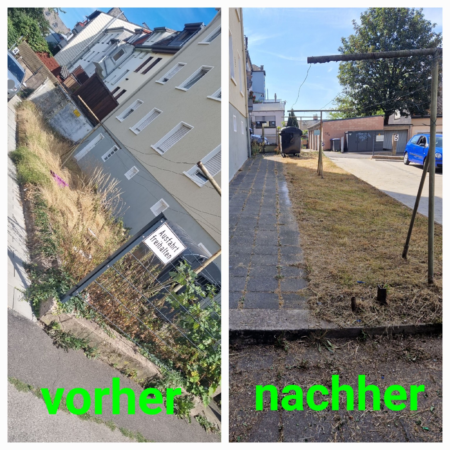 Gartenpflege vorher und nachher